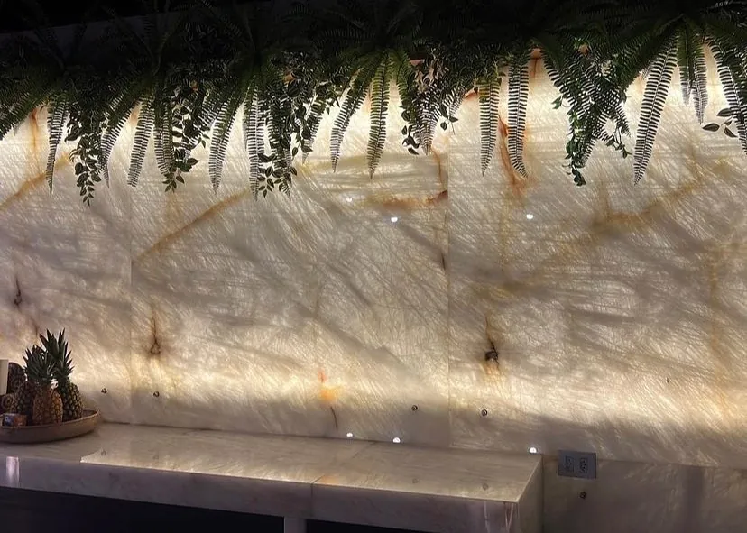 Parede retroiluminada em ônix com jardim suspenso